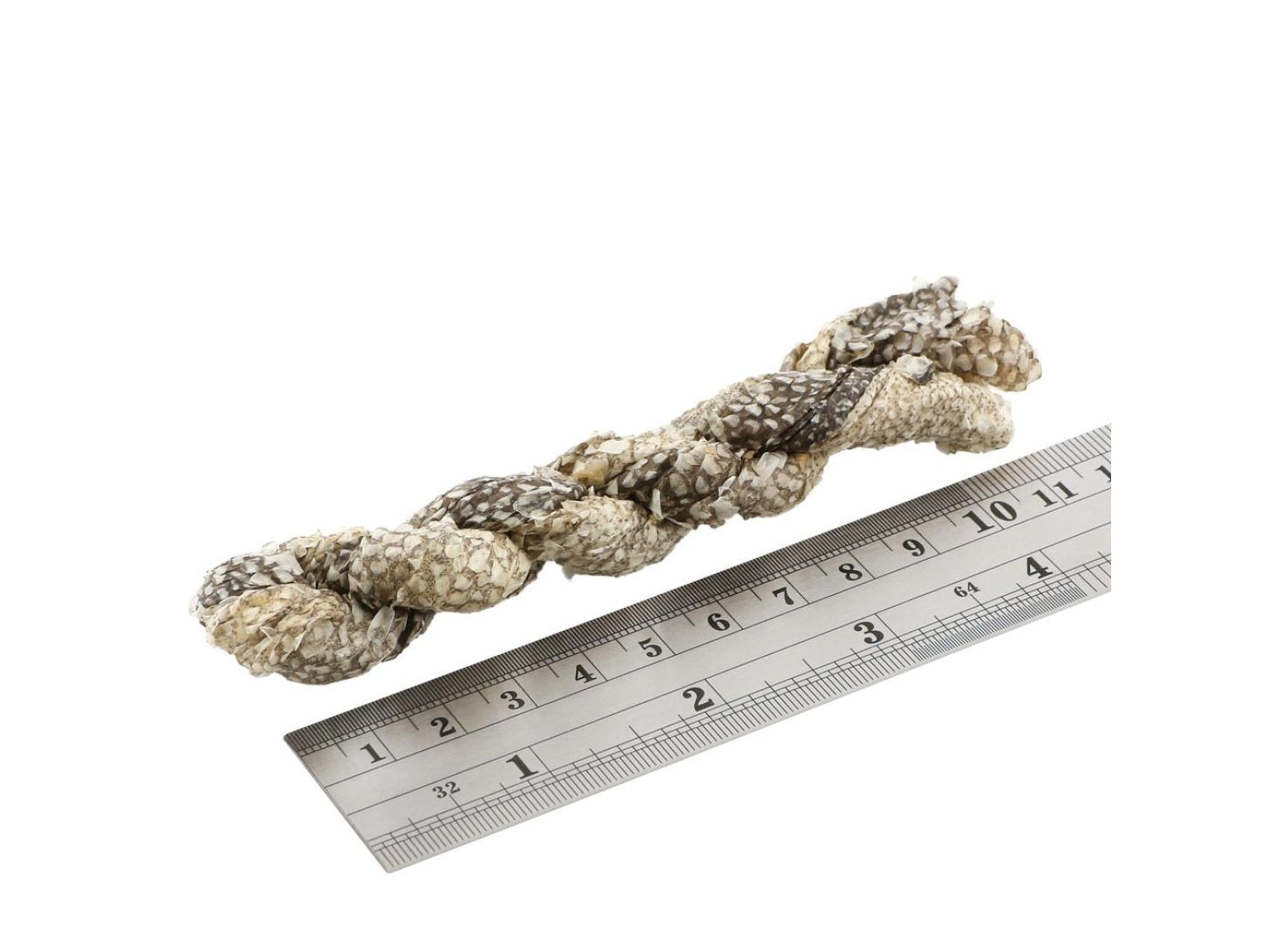Fish4Dogs Dental Sea Jerky Fish Twists, en naturlig tyggegodbit av vridd fiskeskinn, ca. 11 cm lang.