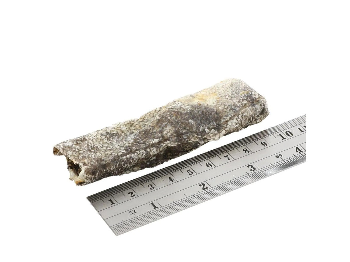 En Fish4Dogs Sea Jerky fiskestrip av tørket fiskeskinn, ca. 10 cm lang, ved siden av en linjal.