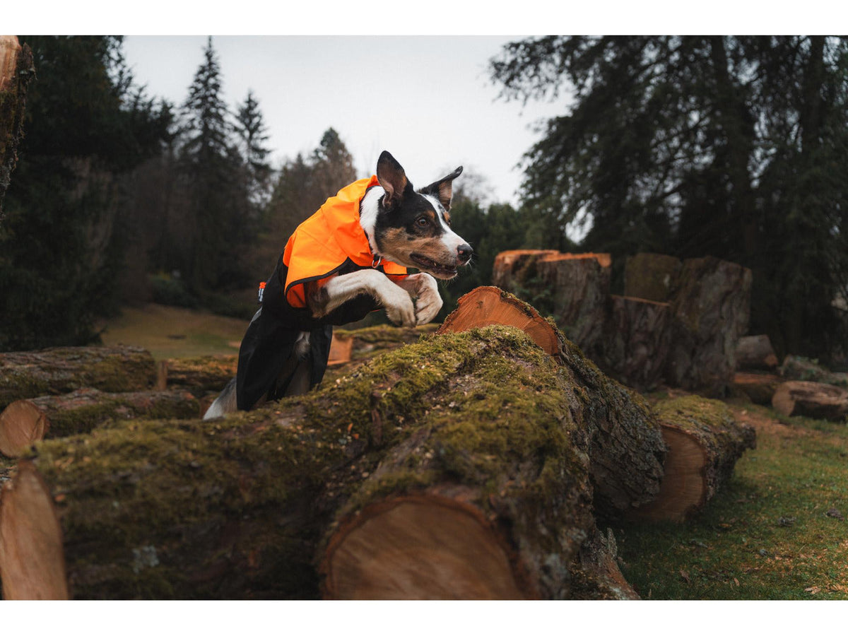 Non-stop dogwear Fjord raincoat 2.0 regndekke – Teal – modellen vist i annen farge