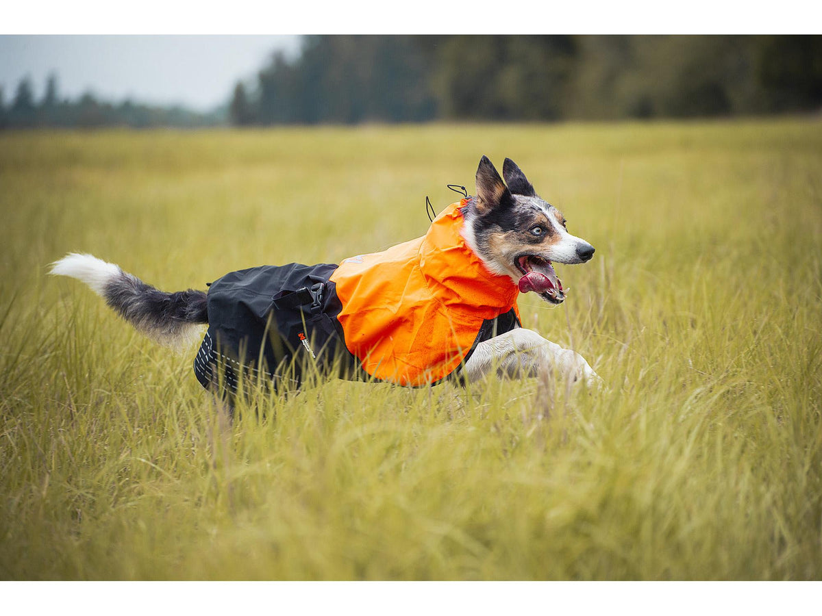 Non-stop dogwear Fjord raincoat regndekke – Svart/oransje