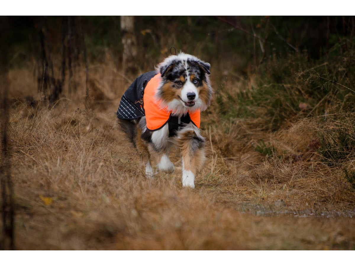 Non-stop dogwear Fjord raincoat regndekke – Svart/oransje