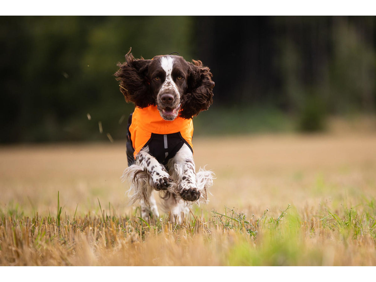 Non-stop dogwear Fjord raincoat regndekke – Svart/oransje