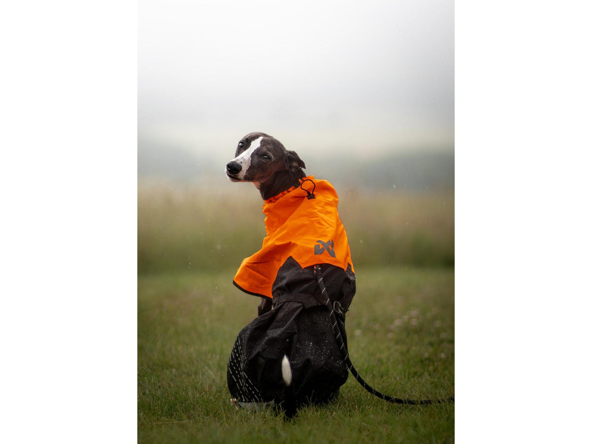Non-stop dogwear Fjord raincoat regndekke – Svart/oransje