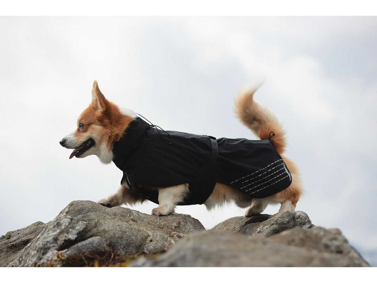 Non-stop dogwear Fjord raincoat regndekke – Svart
