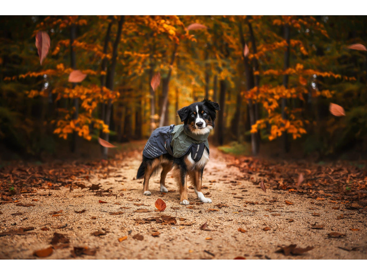 Non-stop dogwear Fjord raincoat regndekke – Grønn/grå