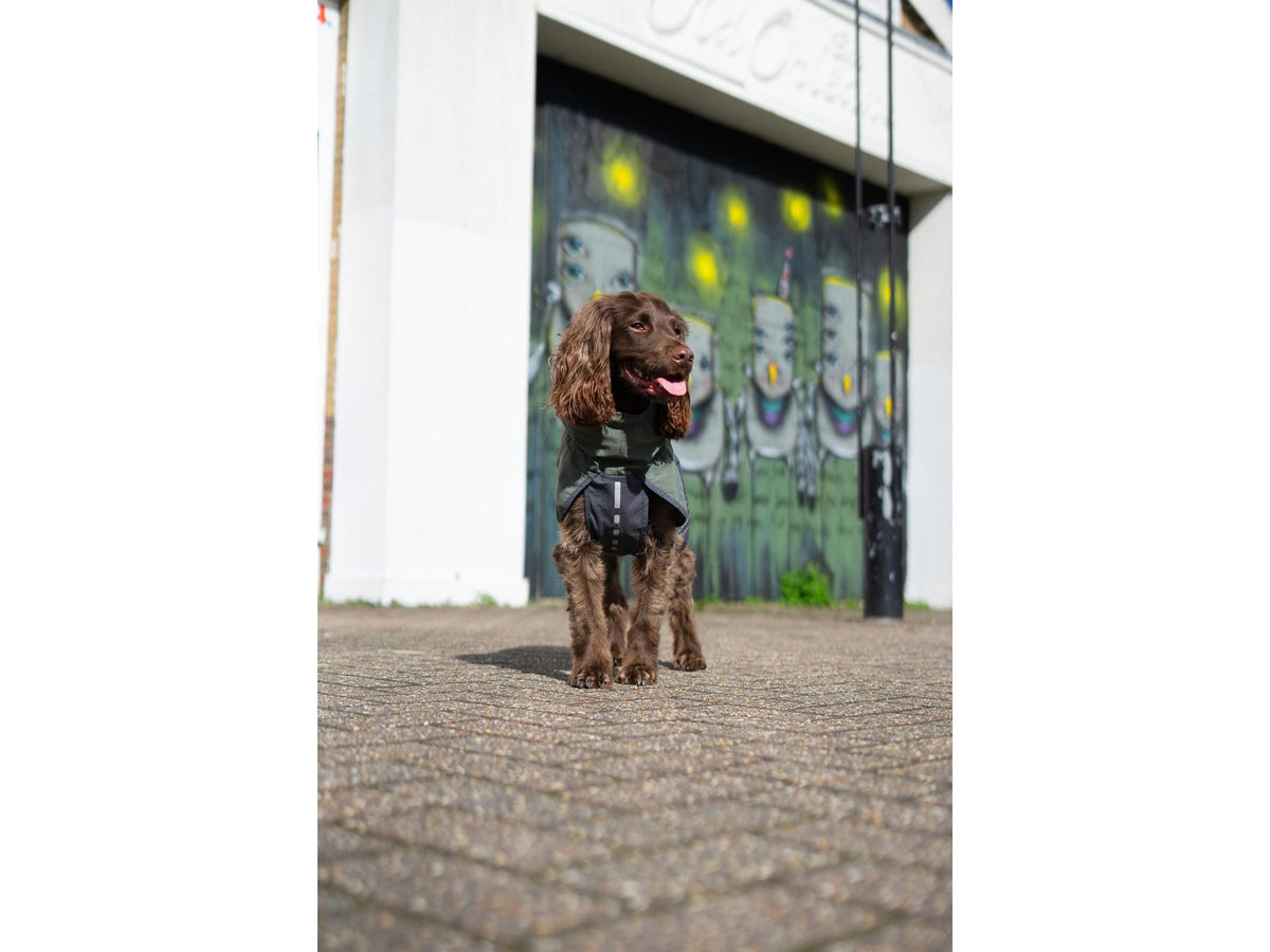 Non-stop dogwear Fjord raincoat regndekke – Grønn/grå