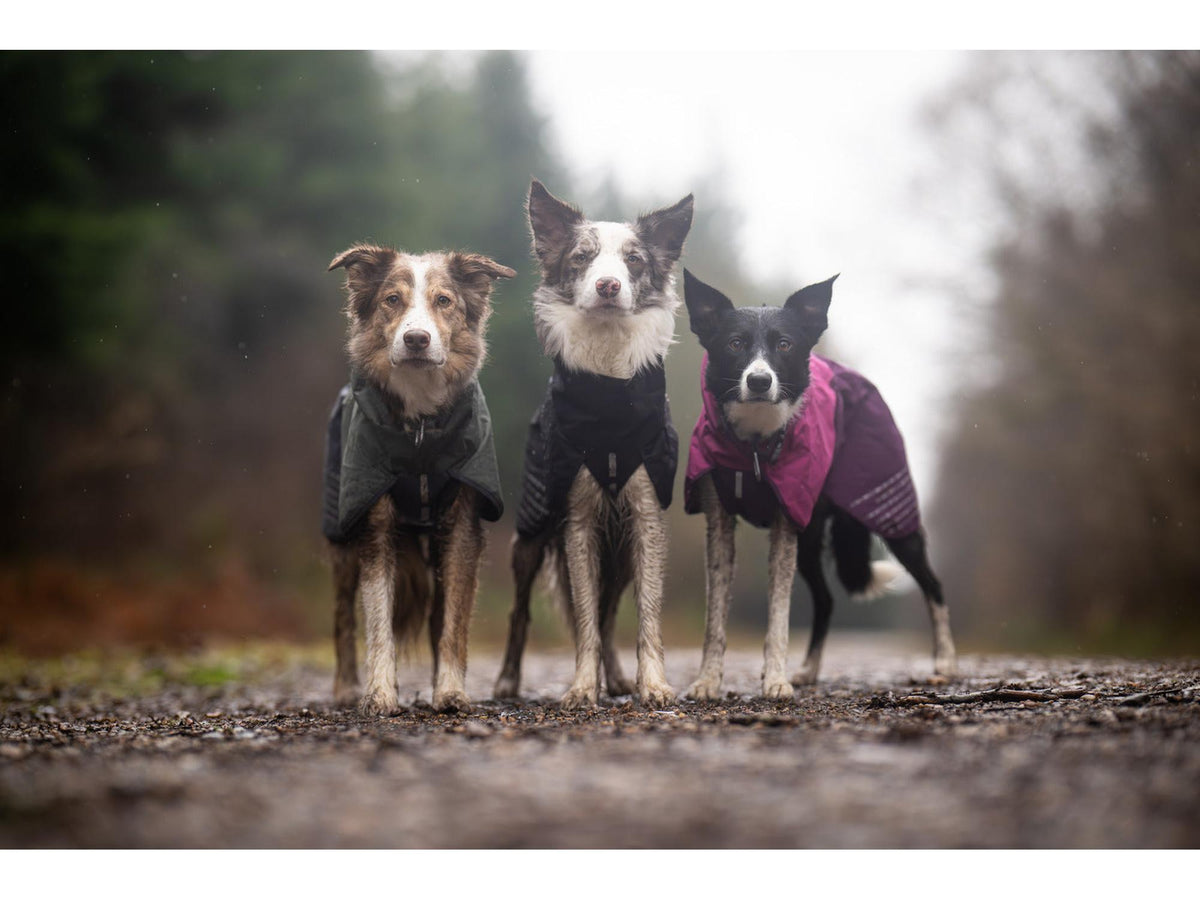 Non-stop dogwear Fjord raincoat regndekke – Lilla
