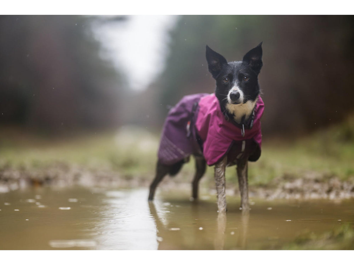 Non-stop dogwear Fjord raincoat regndekke – Lilla