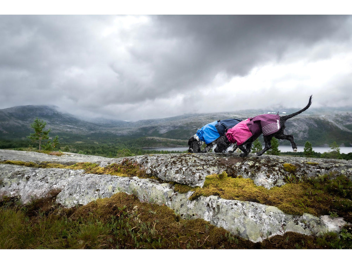 Non-stop dogwear Fjord raincoat regndekke – Svart – modellen vist i annen farge