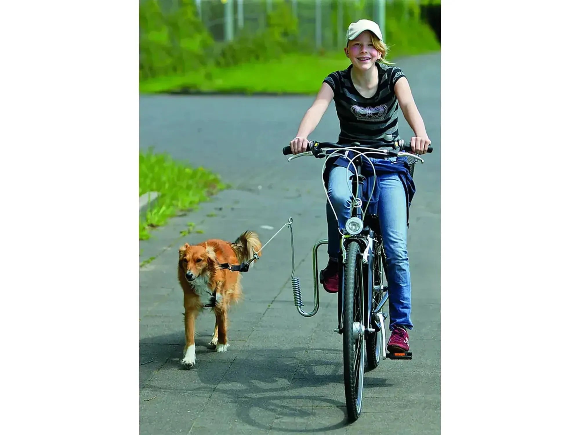 Jente sykler med hund festet til sykkelen med Flamingo Doggy Guide, et metall sykkelfeste med fjær.