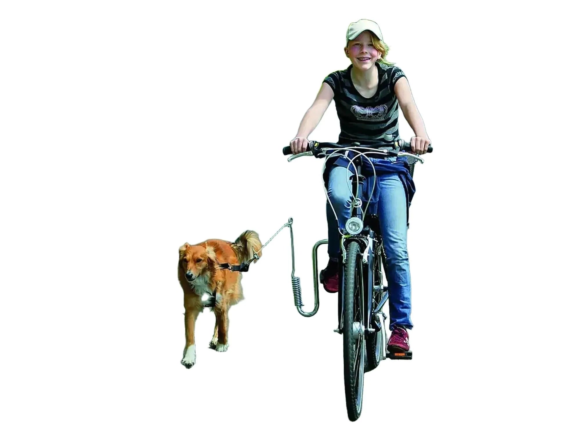 Jente sykler med hund festet til sykkelen med Flamingo Doggy Guide, et metall sykkelfeste med fjær.