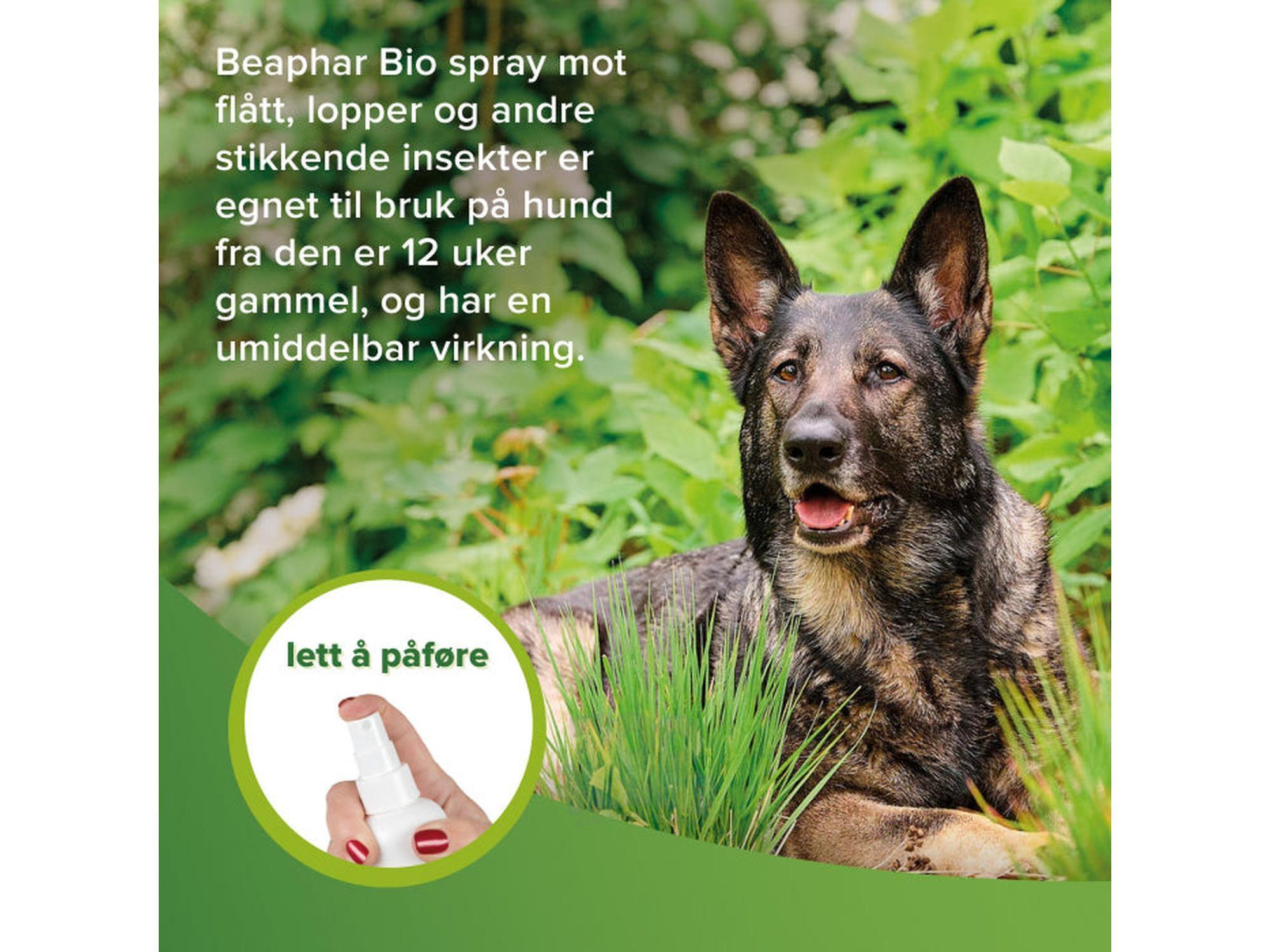 Flått- og loppemiddel spray 150ml Beaphar