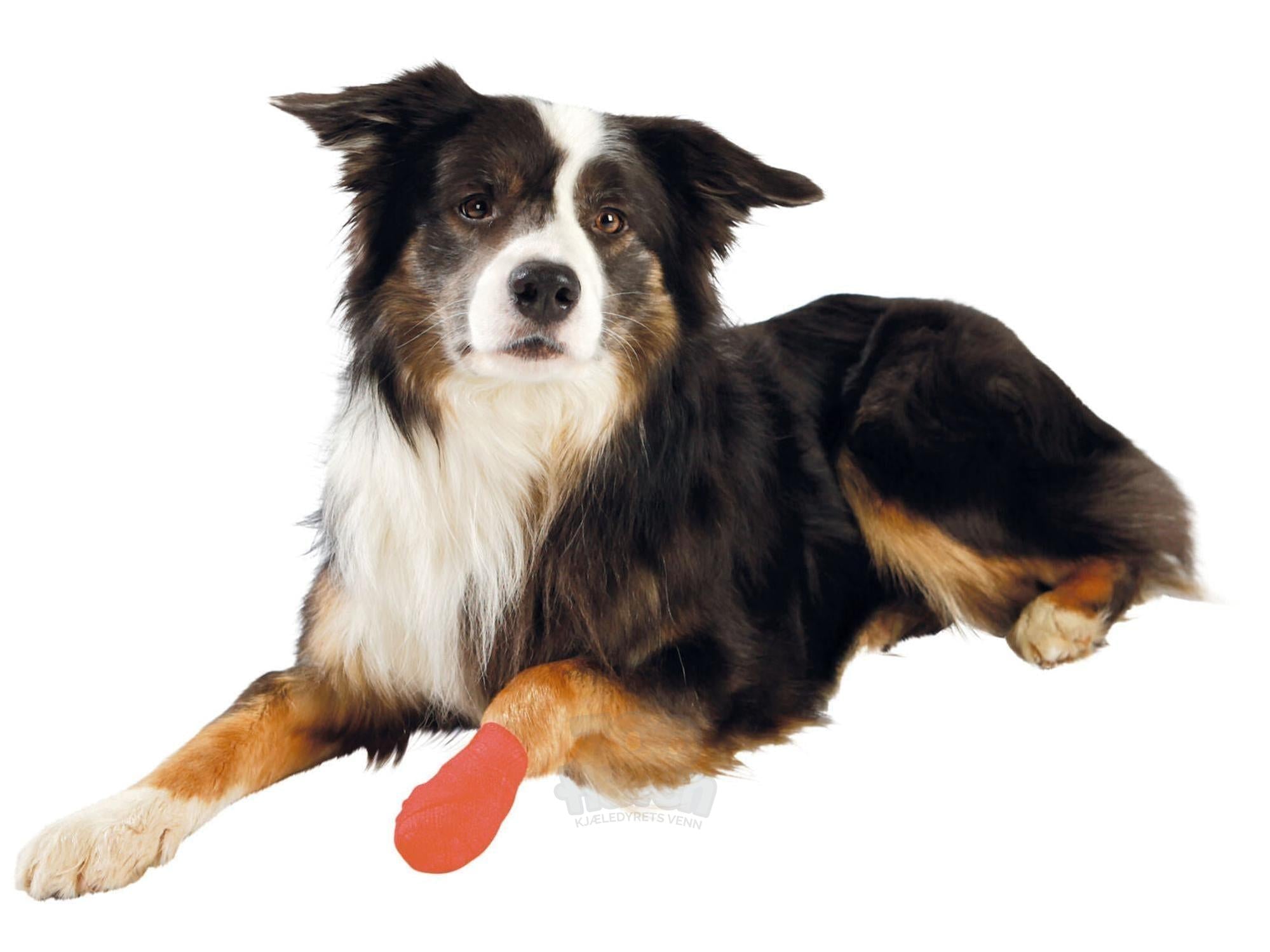 Fleksibel selvklebende bandasje 5 cm x 4,5 m