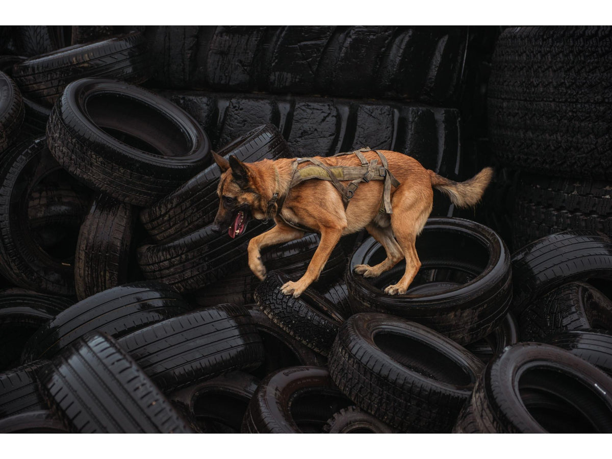 Non-stop dogwear Freemotion harness WD trekksele – Oliven