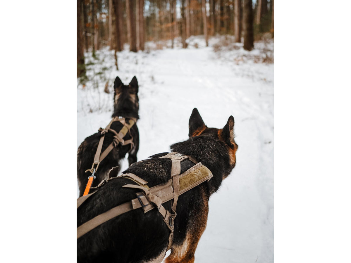 Non-stop dogwear Freemotion harness WD trekksele – Oliven