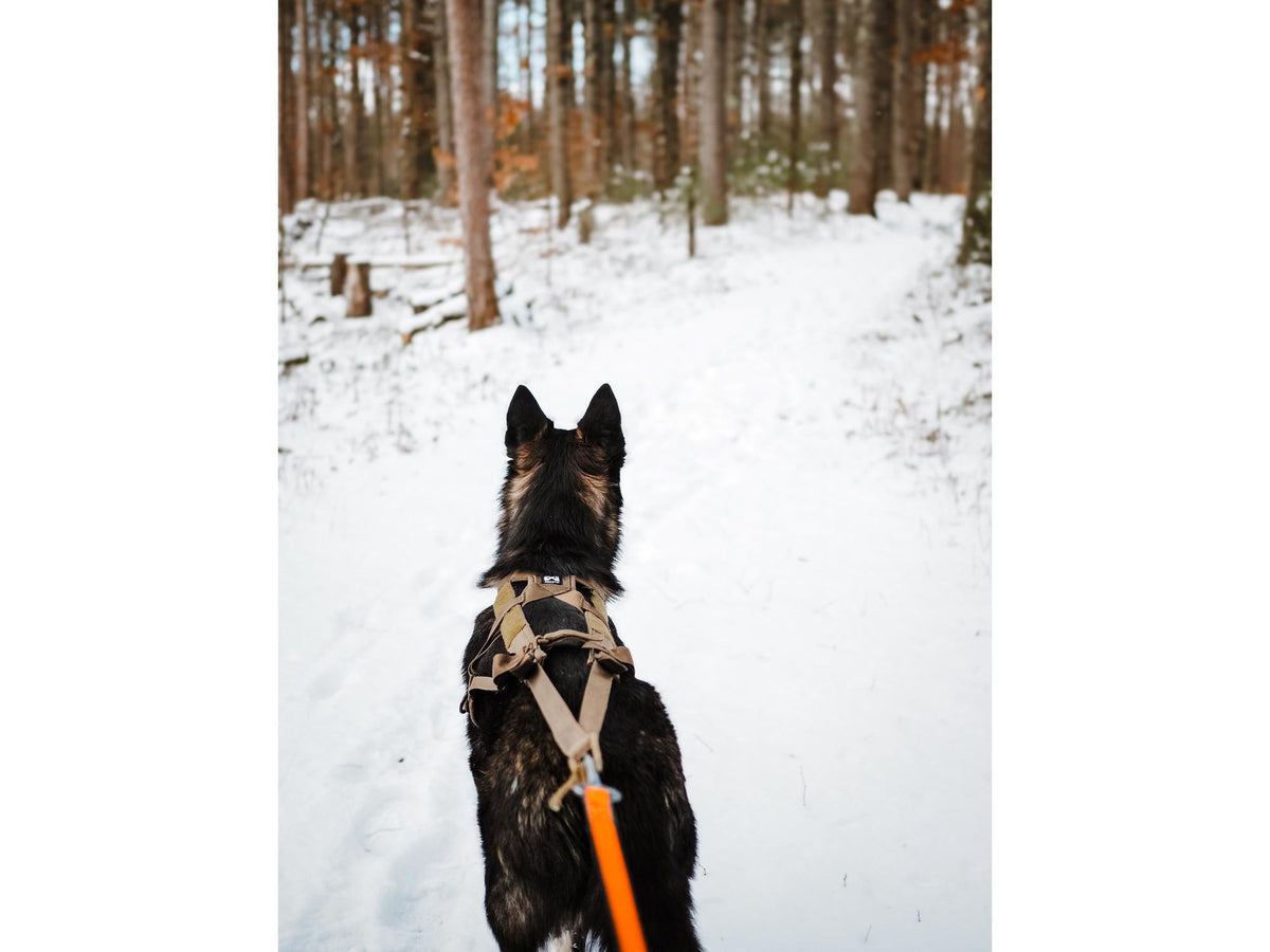 Non-stop dogwear Freemotion harness WD trekksele – Oliven
