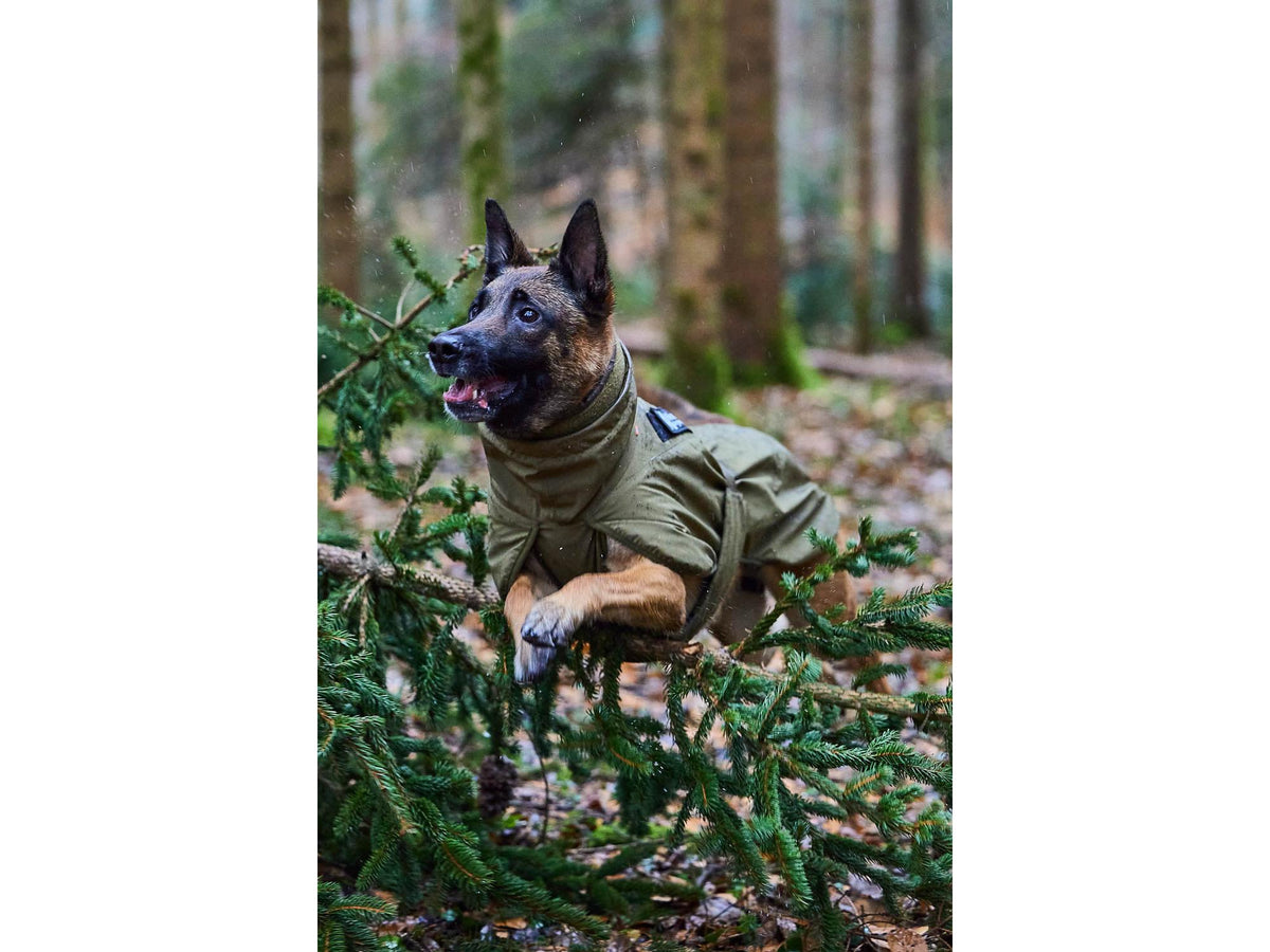 Non-stop dogwear Glacier dog jacket WD varmedekken – Oliven