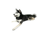 Siberian Husky som ligger på en komfortabel, grå rektangulær hundeseng med slitesterkt tekstiltrekk.