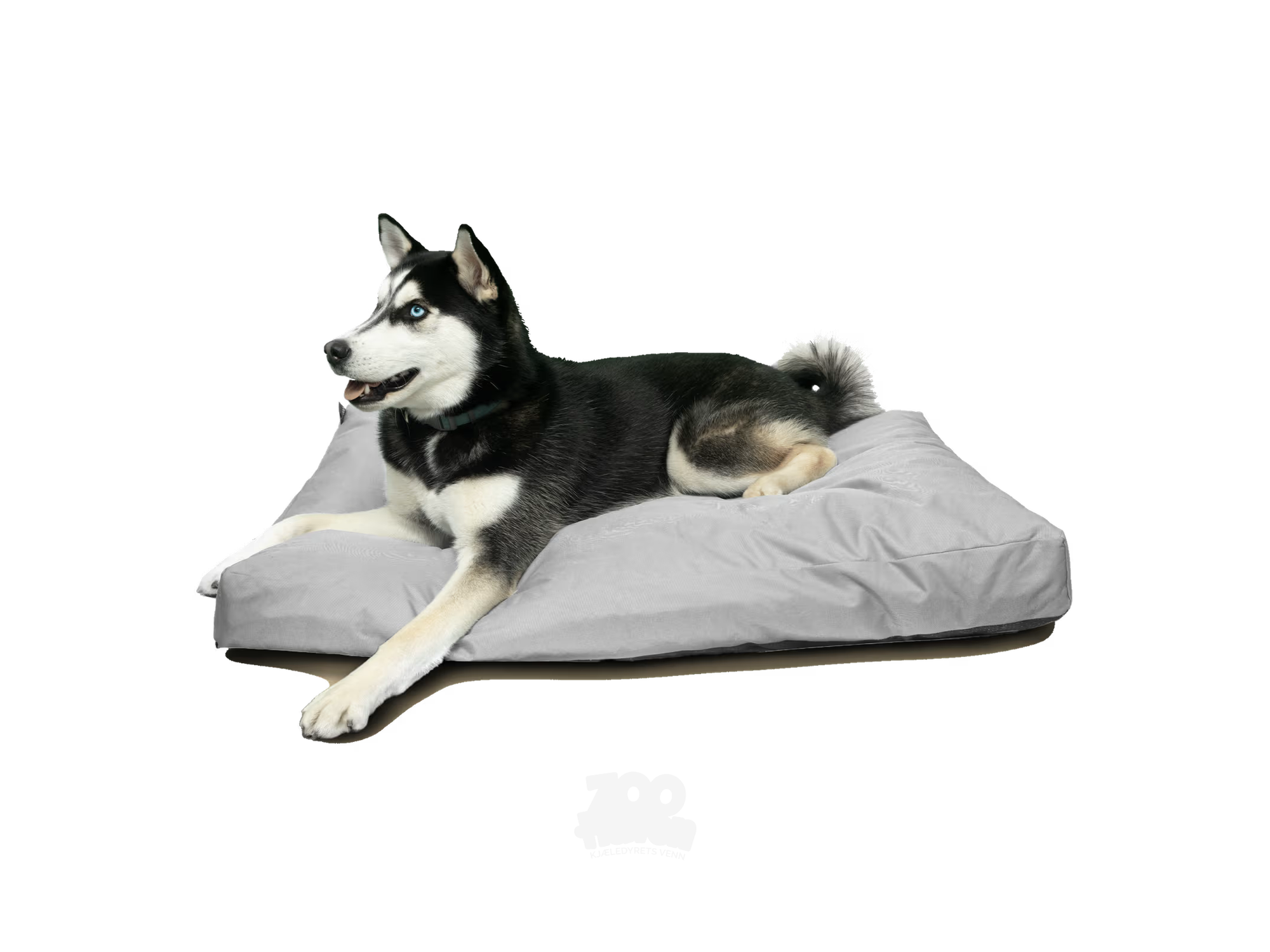 Goo-eez Rectangular Bed Hundeseng Inne/Utebruk