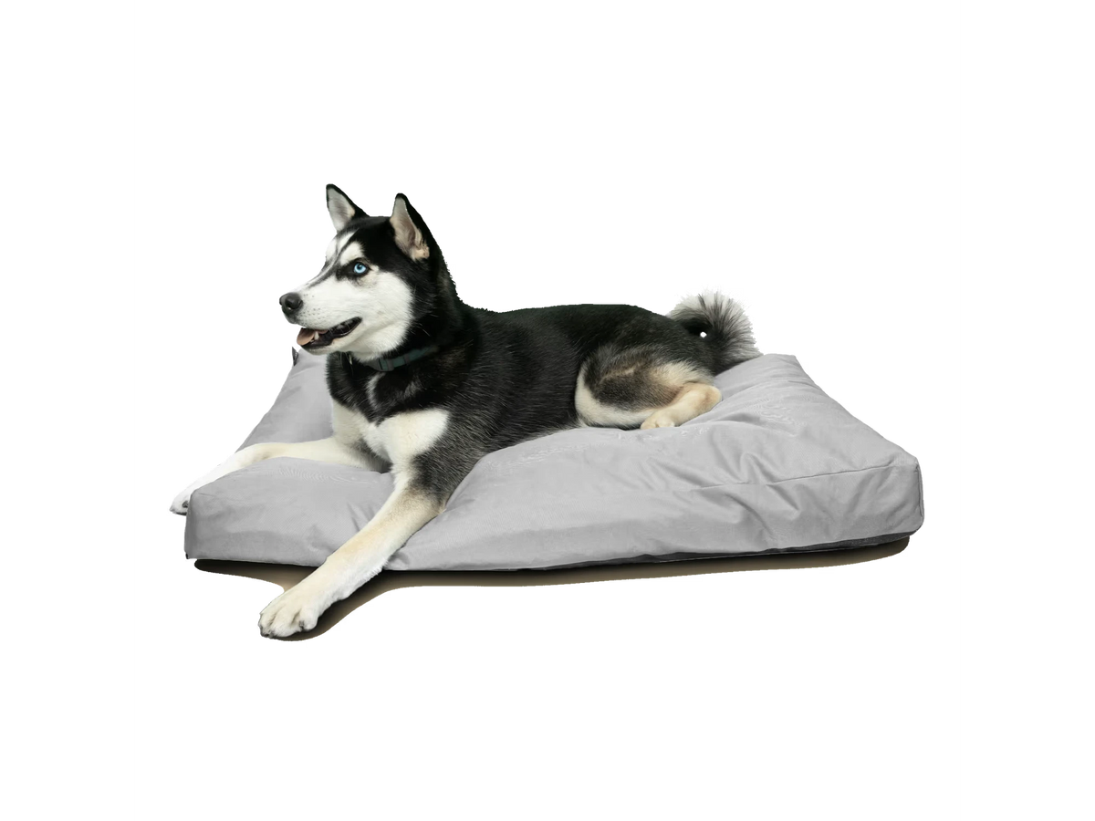 Goo-eez Rectangular Bed hundeseng