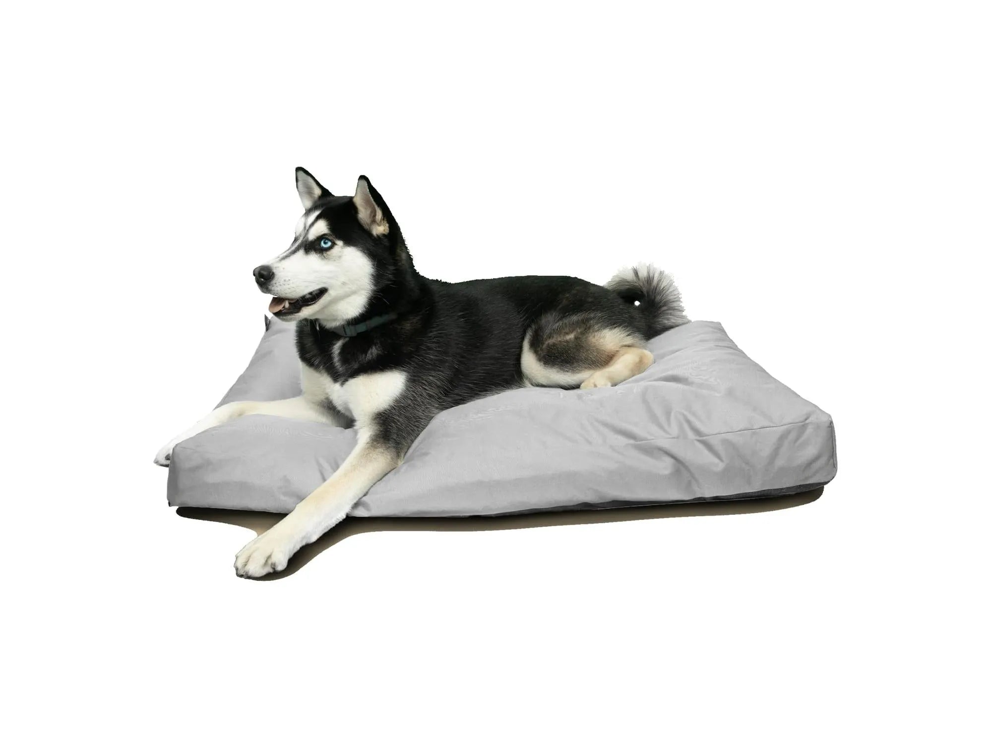 Goo-eez Rectangular Bed hundeseng