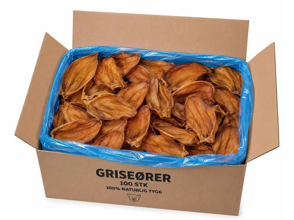 Stor pappeske fylt med 100 naturlige, tørkede griseører til hund, pakket i en blå plastpose.