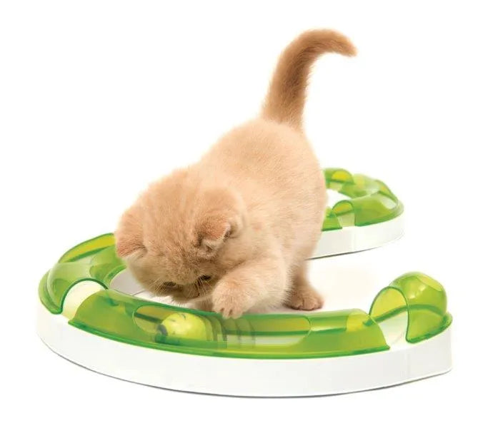 Katt leker med Catit Senses 2.0 Play Circuit