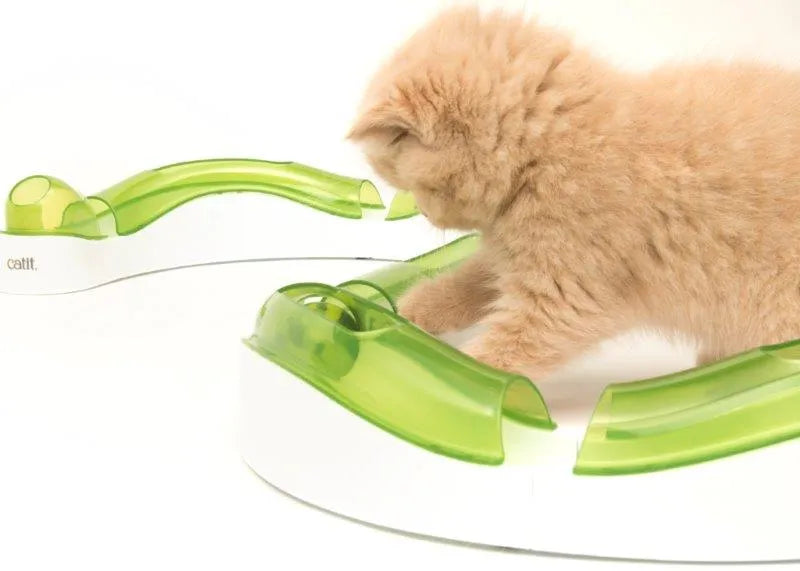Katt leker med Catit Senses 2.0 Super Circuit