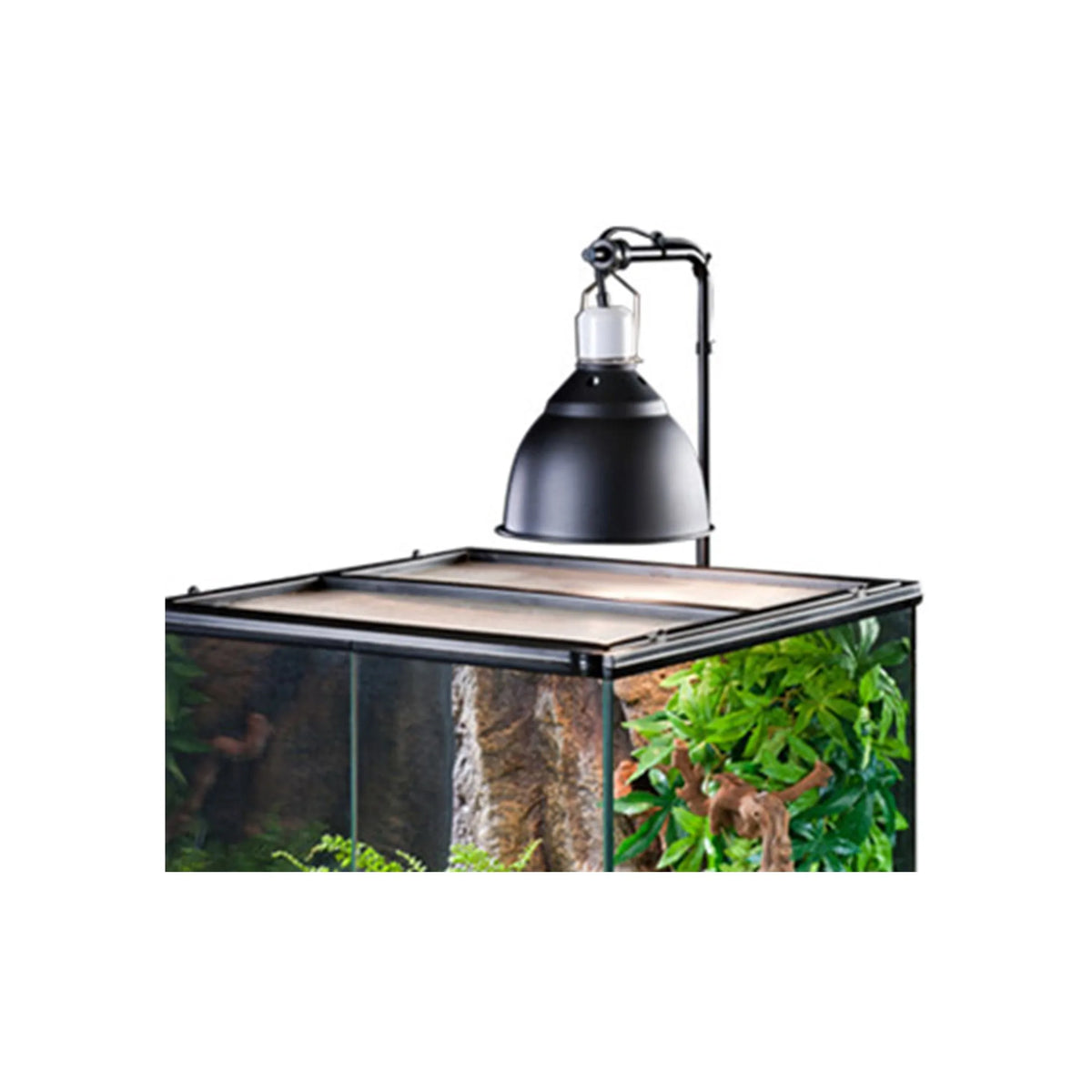 Exo Terra Light Dome lampekuppel