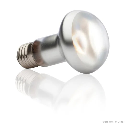 Exo Terra Sun Glo Intense Basking Spot varmepære