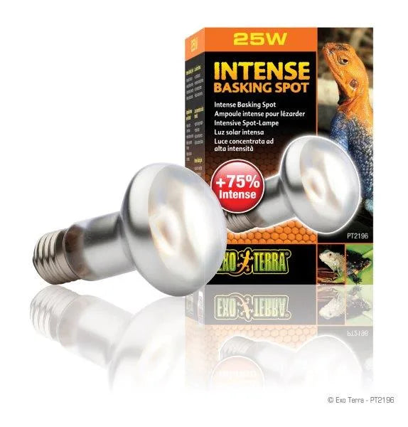 Exo Terra Sun Glo Intense Basking Spot varmepære