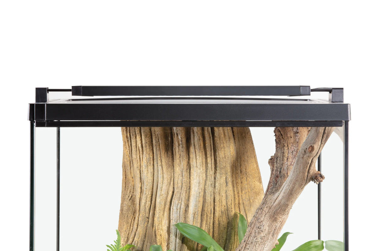 Exo Terra TerraSky Plant LED-lampe med fjernkontroll