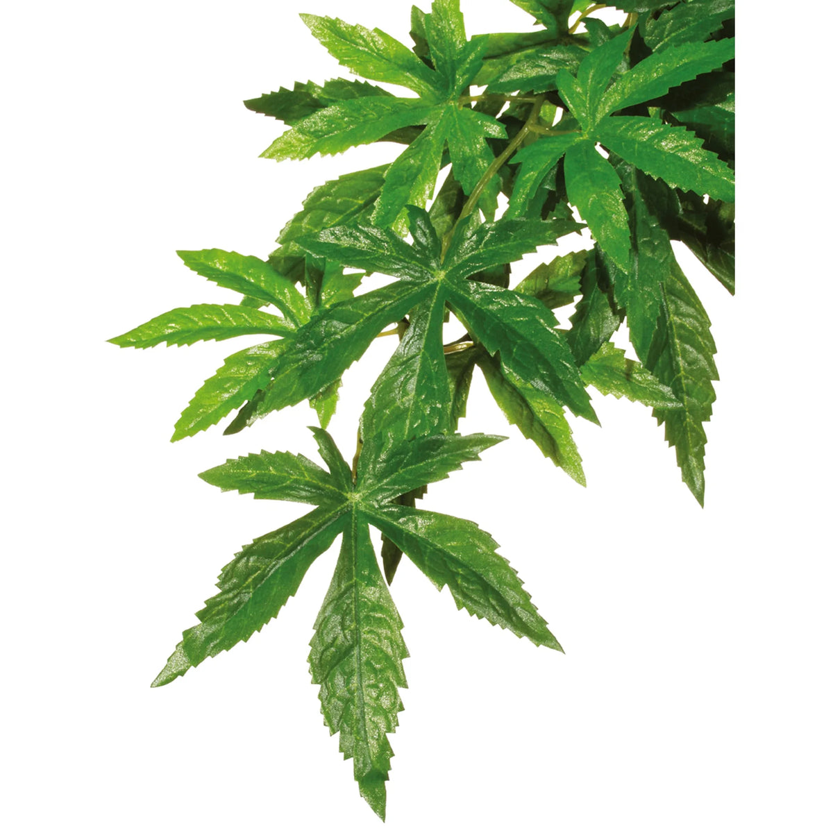 Exo Terra kunstig hengeplante Abutilon medium