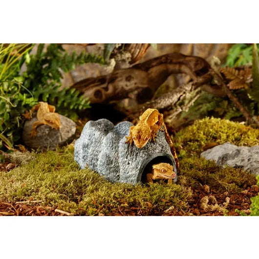 Exo Terra Wet Rock keramisk fuktighetshule
