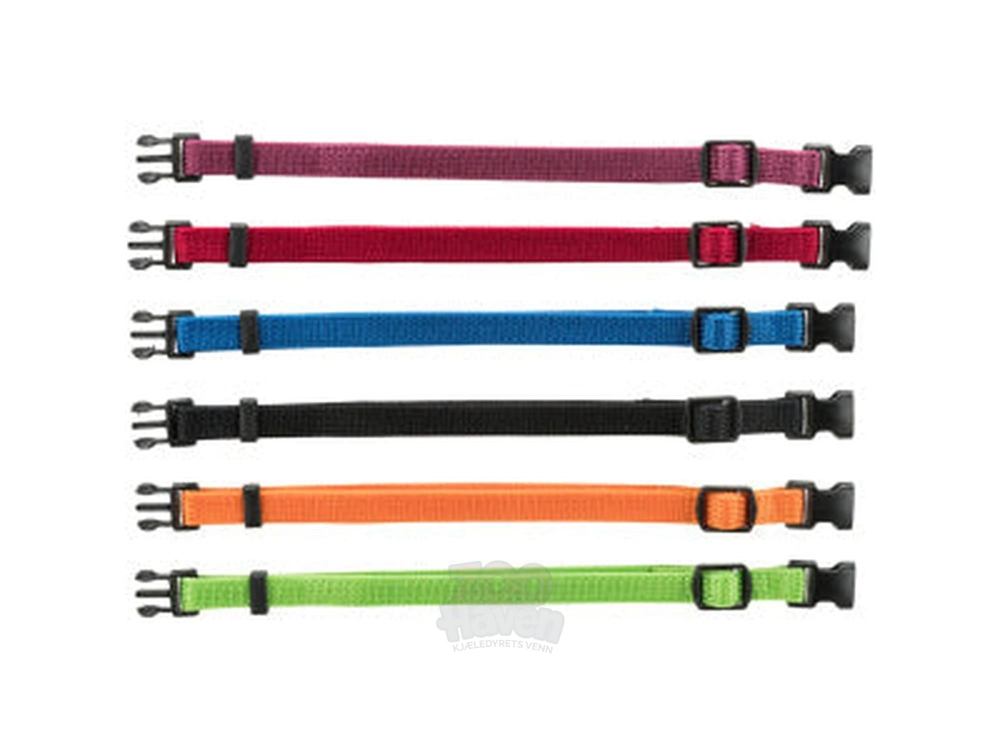 Halsbånd Valpesett sterke farger 6 stk