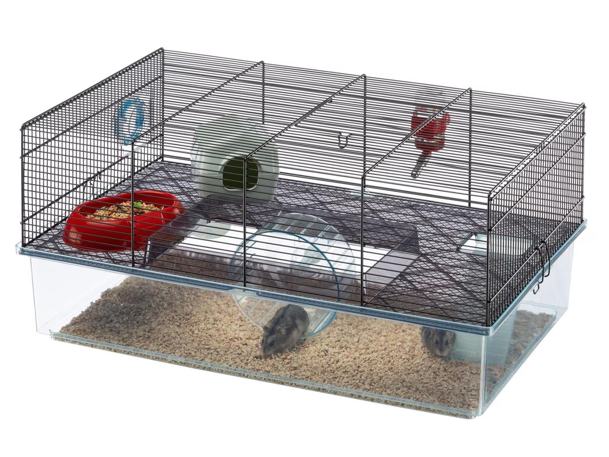 Favola M hamsterbur med høy, gjennomsiktig plastikkbunn, svart metallgitter, og to hamstere.