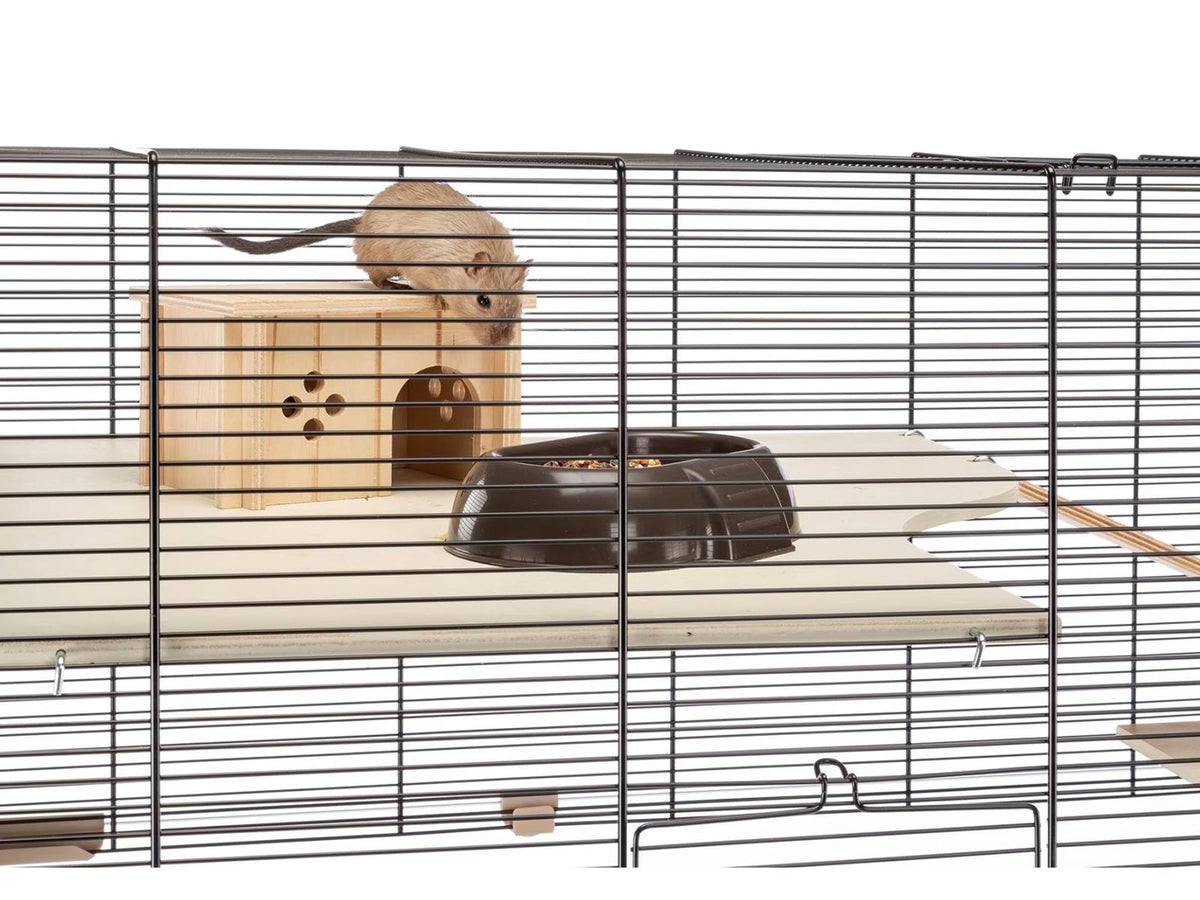 Hamsterbur Karat 100 med glassbunn, svart gitter, trehyller, hus og en liten hamster.