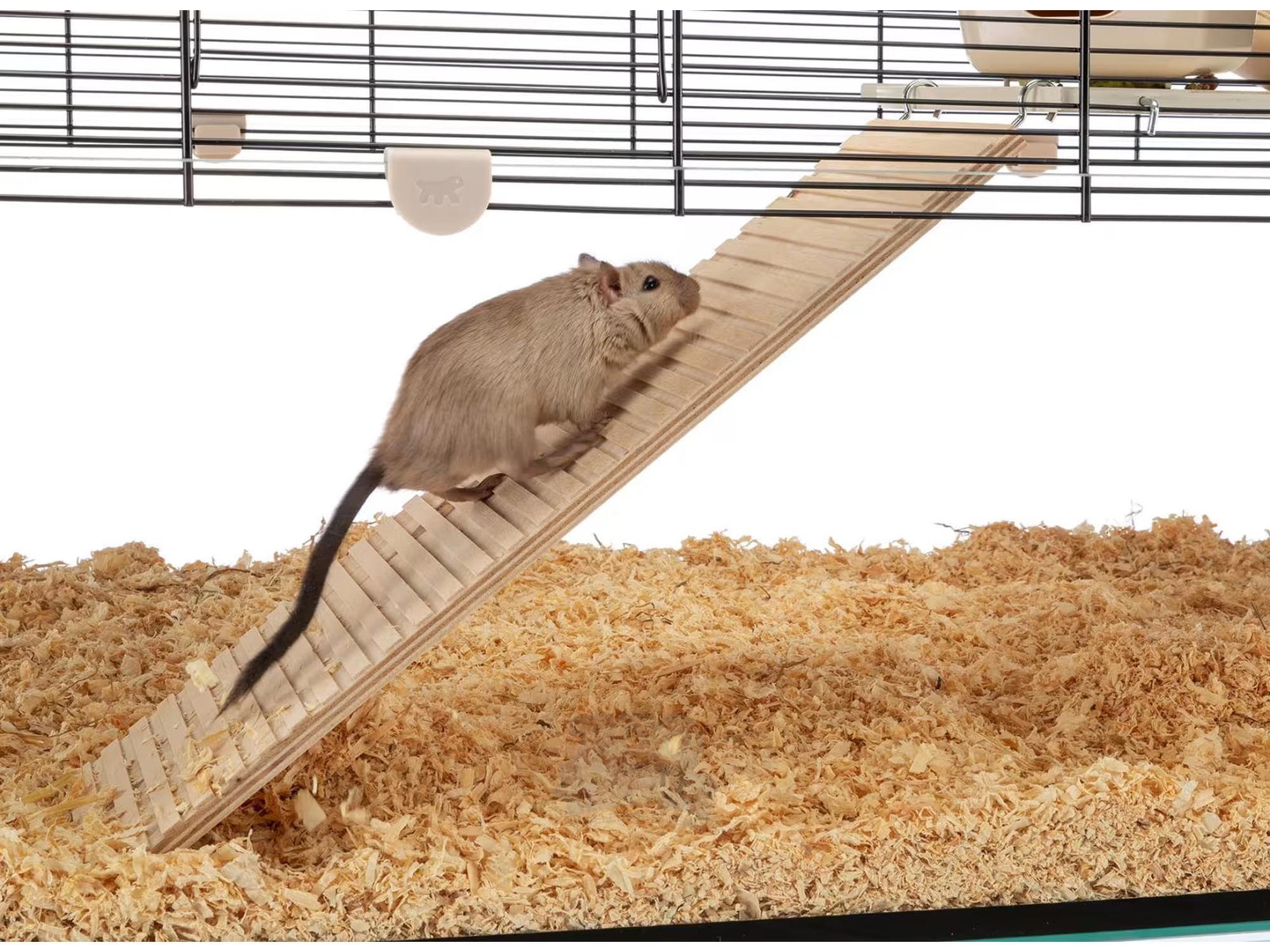 Hamsterbur Karat 100 M/Glassbunn 98,5x50,5x61,5cm