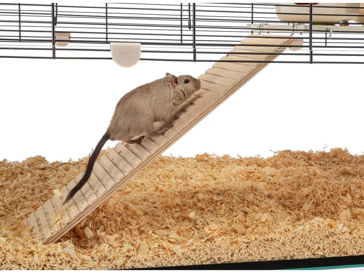 En liten brun ørkenrotte klatrer opp en trestige i et romslig hamsterbur med glassbunn og svart gitter.