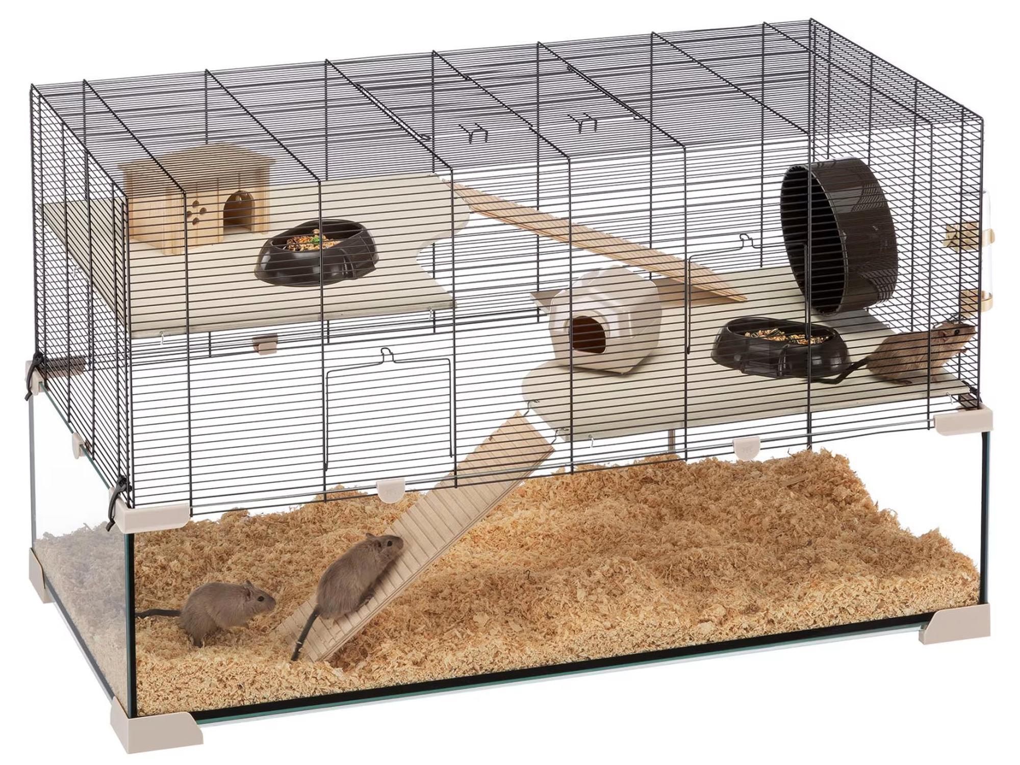 Romslig hamsterbur Karat 100 med glassbunn, svart gitter, beige hyller og to gnagere.