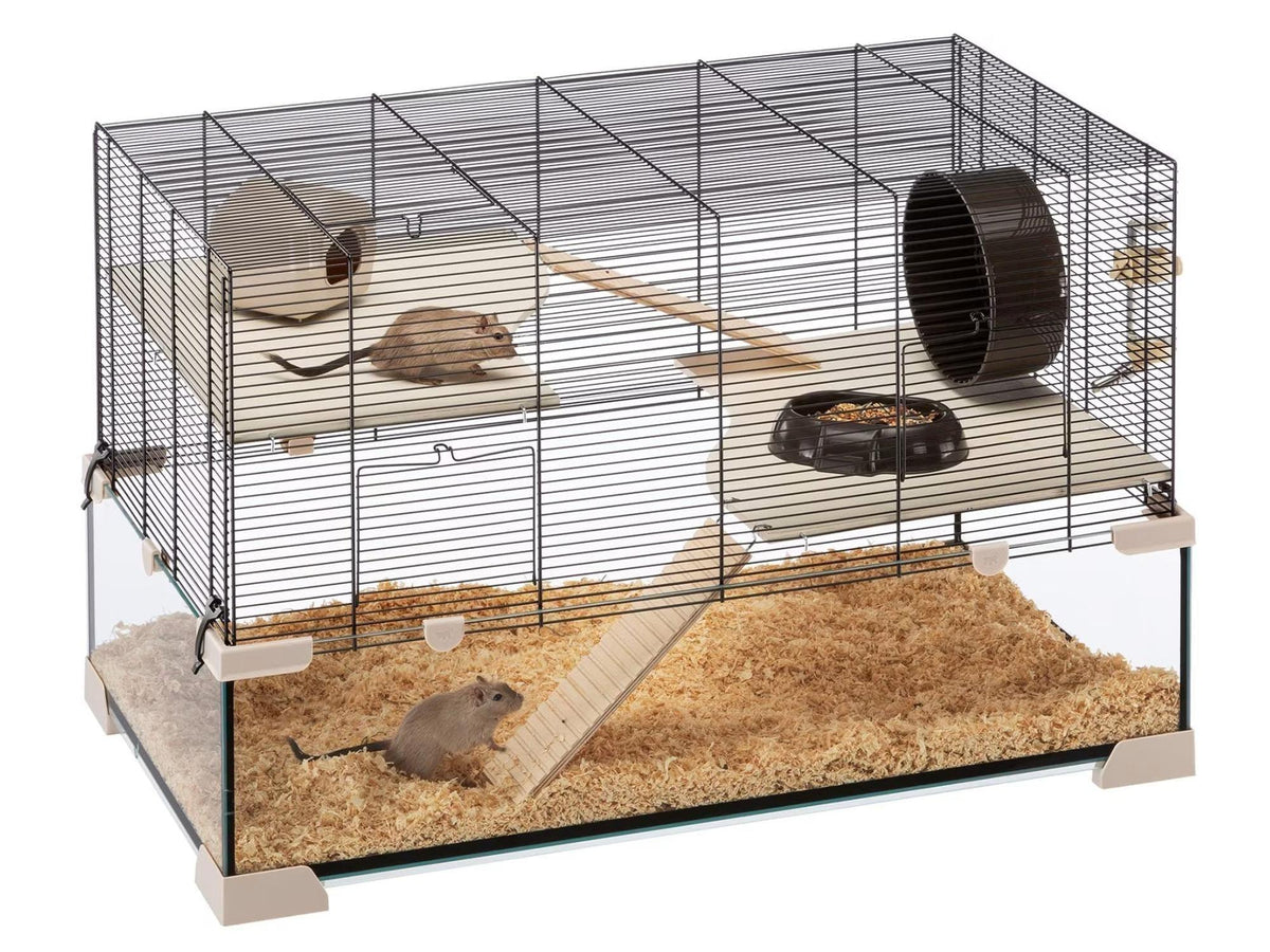 Hamsterbur Karat 80 med glassbunn, svart metallgitter, to etasjer, og to hamstere.