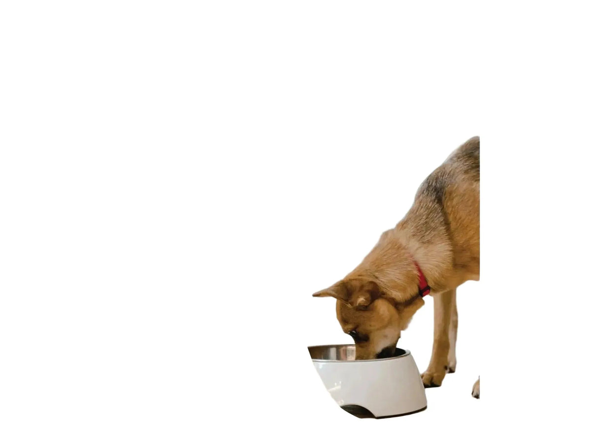 Herbal Flea & Tick For Dogs – Hackney Dog House Urteblanding 200 g