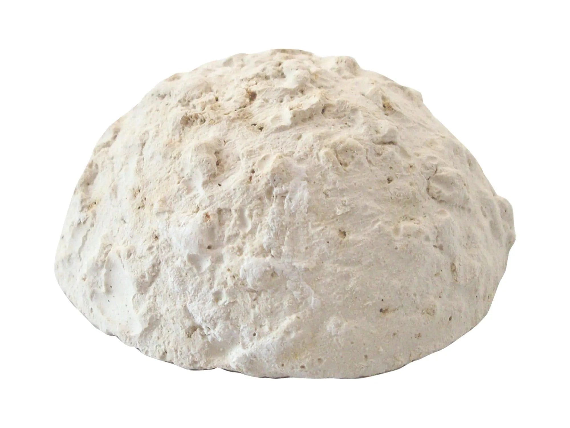 Prodac Holiday Food 20gr feriefôrblokk for akvariefisk, lys beige, uregelmessig kuppelformet.