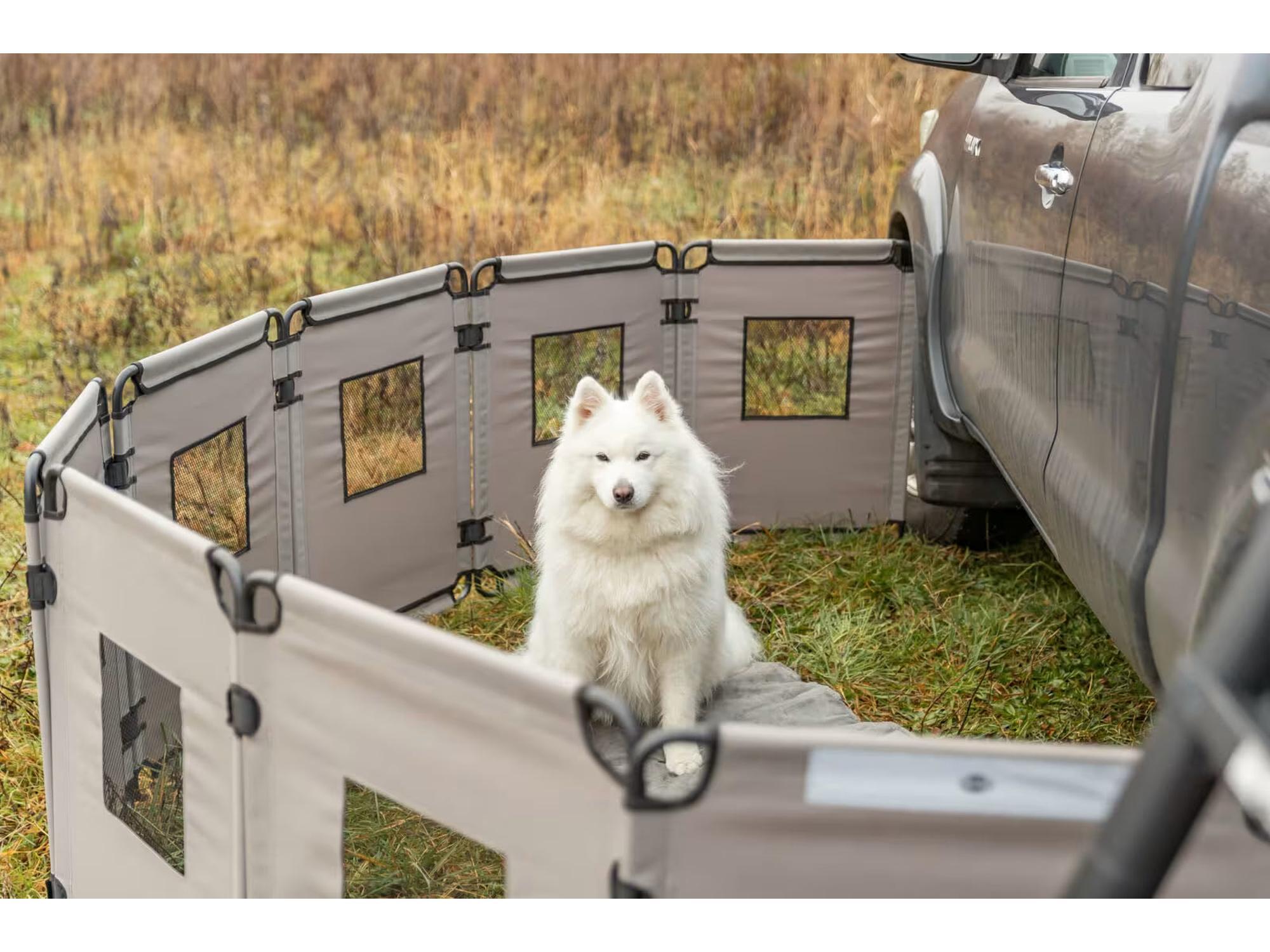 Grå, sammenleggbar hundegård med nettingvinduer og en hvit hund ved siden av en bil.