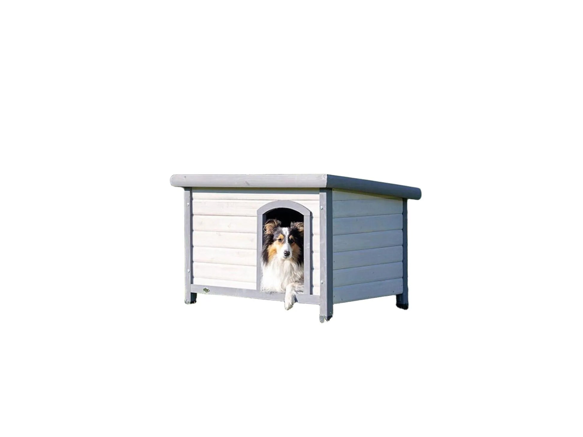 Grått hundehus i tre med flatt tak og en hund som titter ut.