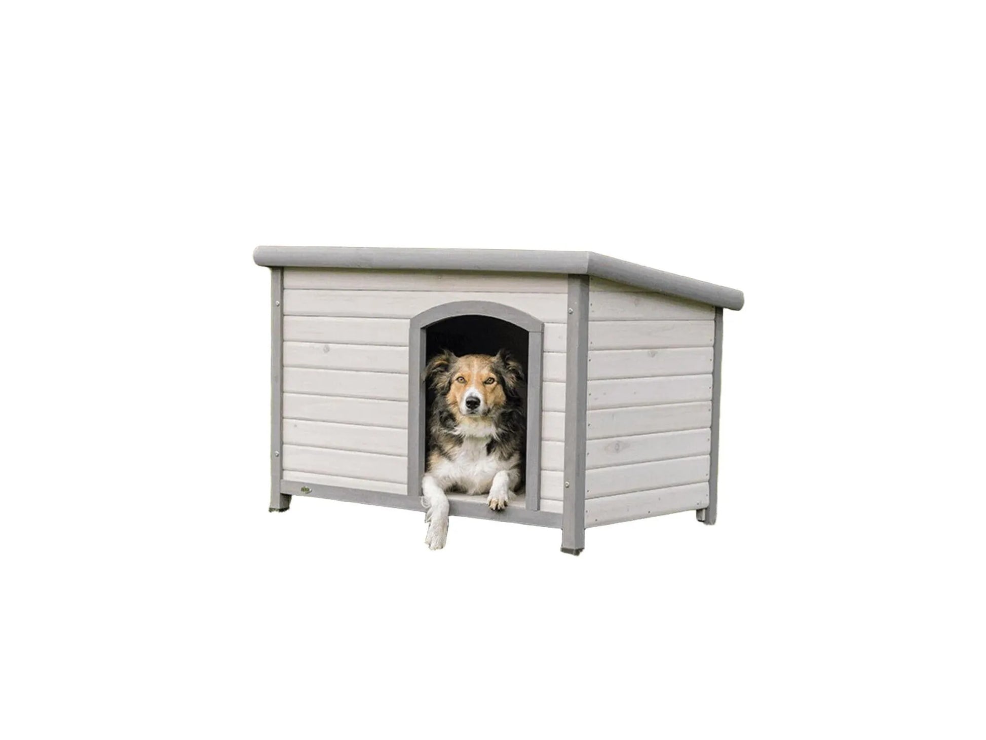 Grått hundehus i tre med flatt tak og en hund som titter ut.