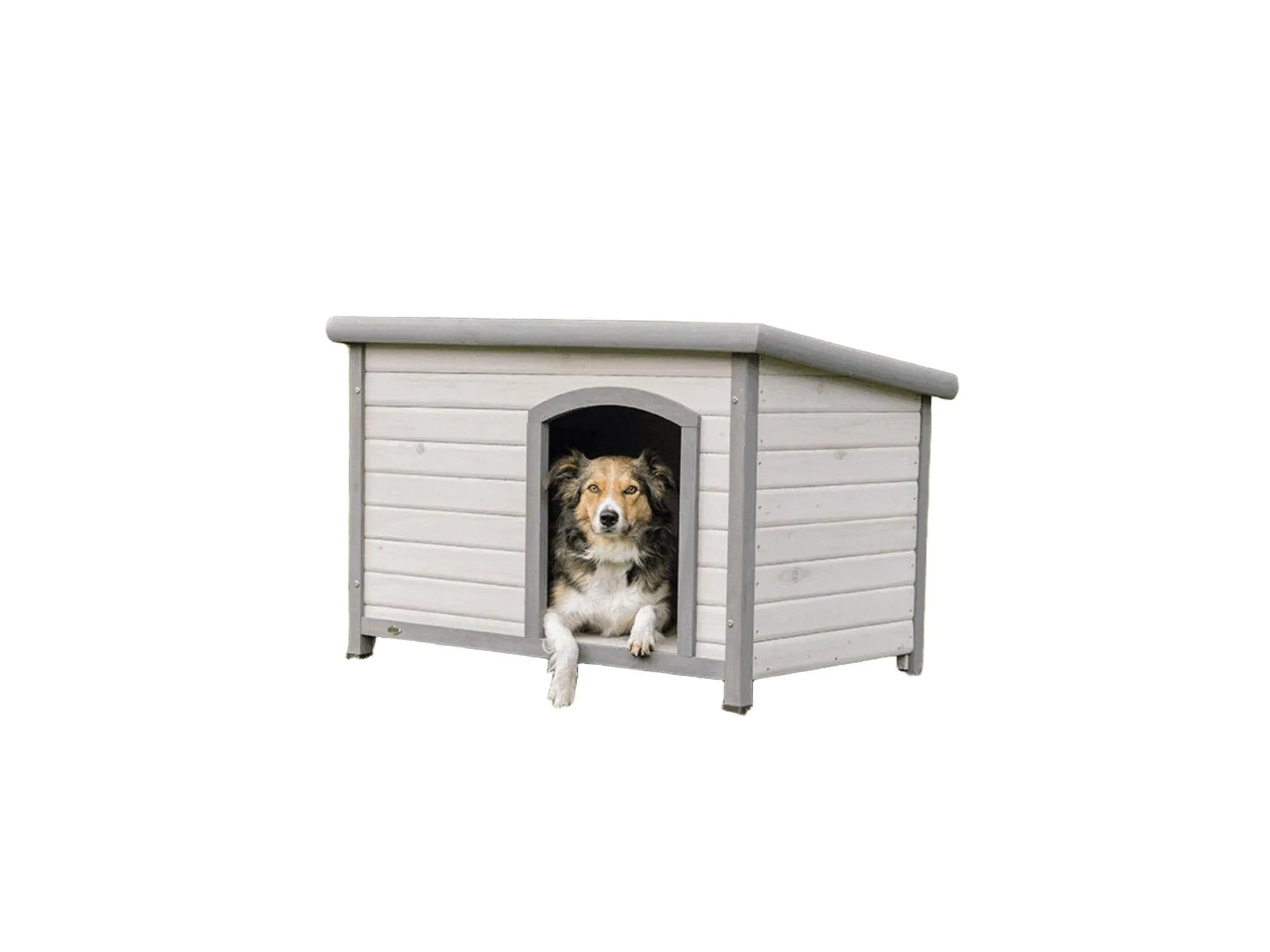 Grått hundehus i tre med flatt tak og en hund som titter ut.