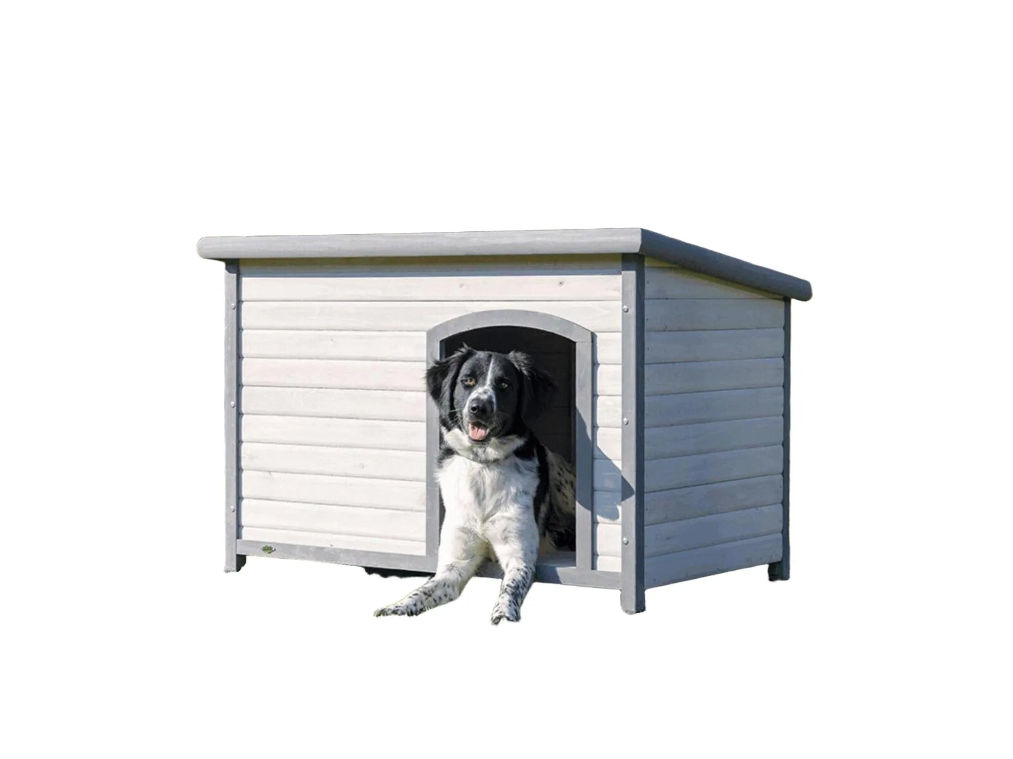 Grått hundehus i tre med flatt tak og en hund som sitter i åpningen på en gressplen.