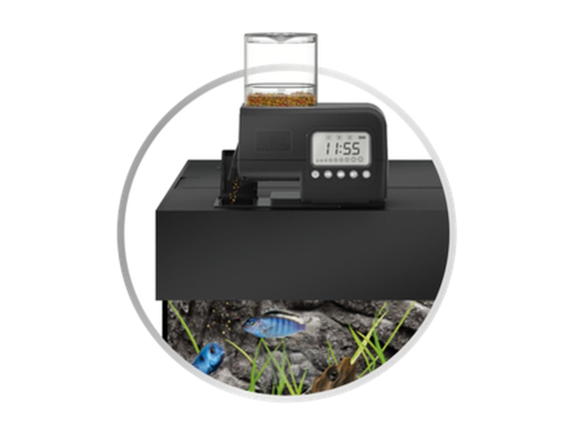 JUWEL SmartFeed 2.0 fôrautomat med digitalt display
