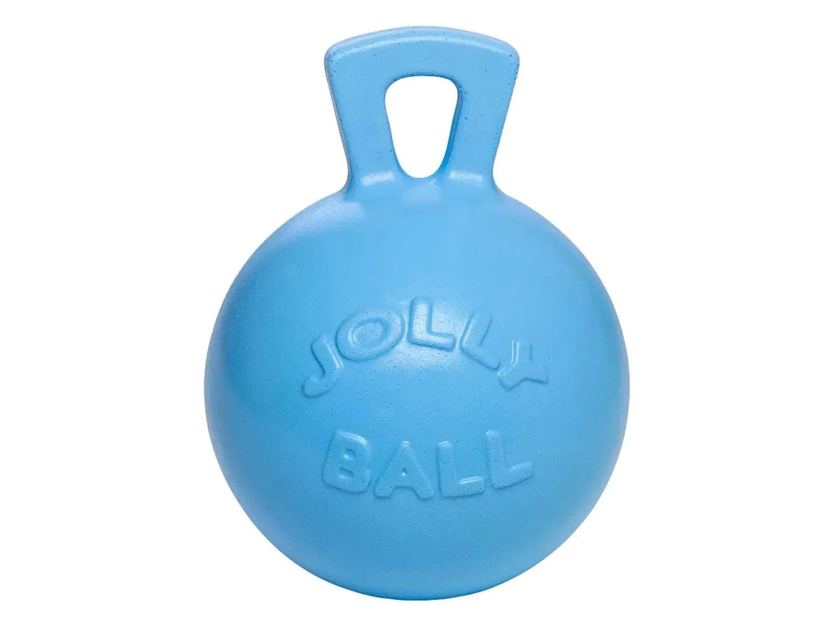 Jolly Ball Hesteball Ø 25 cm – Lyseblå med Blåbærduft